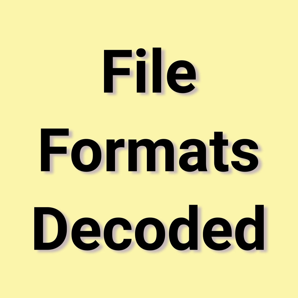 Educational Poster File Formats Decoded, Tech Wall Art, Digital File Types Explained, Office Decor, Learning Resource